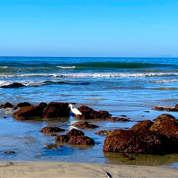 Meet your Posher, Debbie - Picture 2 of 8